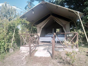 Mara hill safari camp